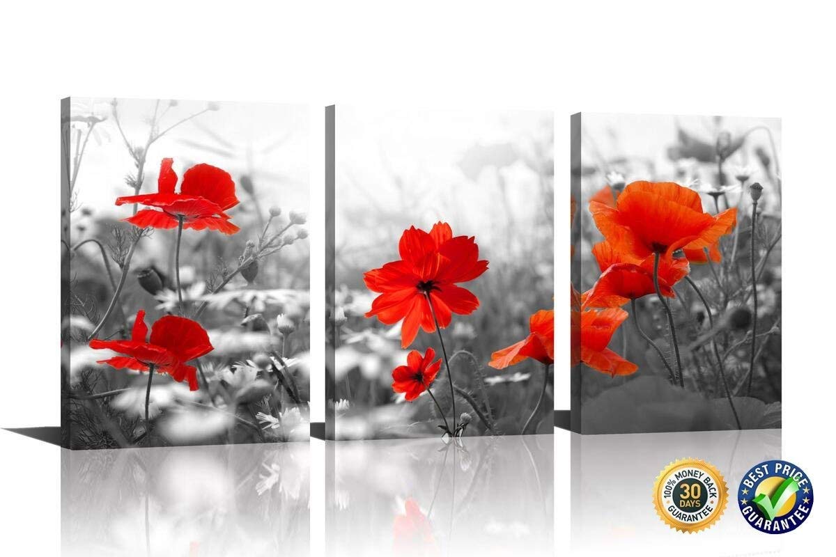 Best poppy wall art for living room