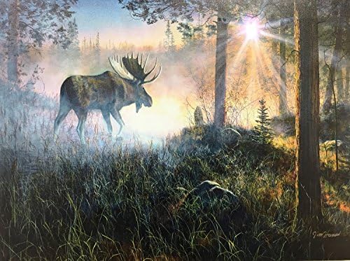 Moose In The Mist LED Canvas