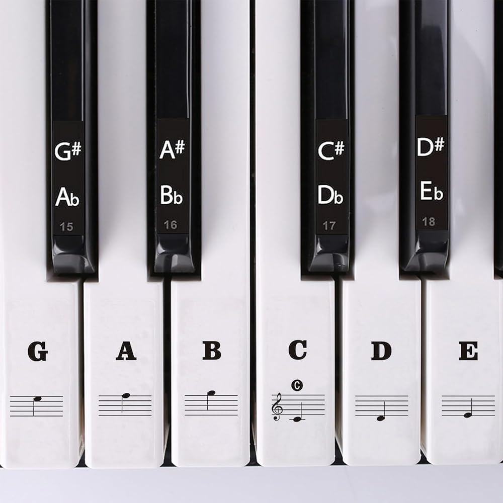SenZee Piano Keyboard Stickers 88/61/54/49/37 Keys Removable Note Labels