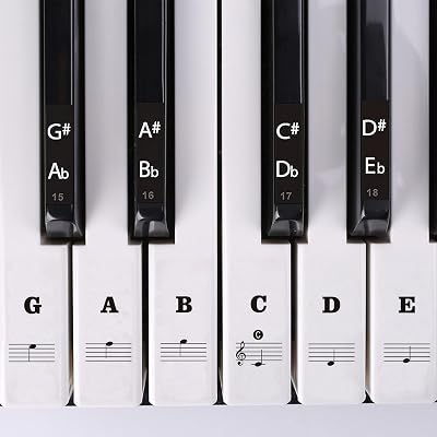 SenZee Piano Keyboard Stickers 88/61/54/49/37 Keys Removable Note Labels