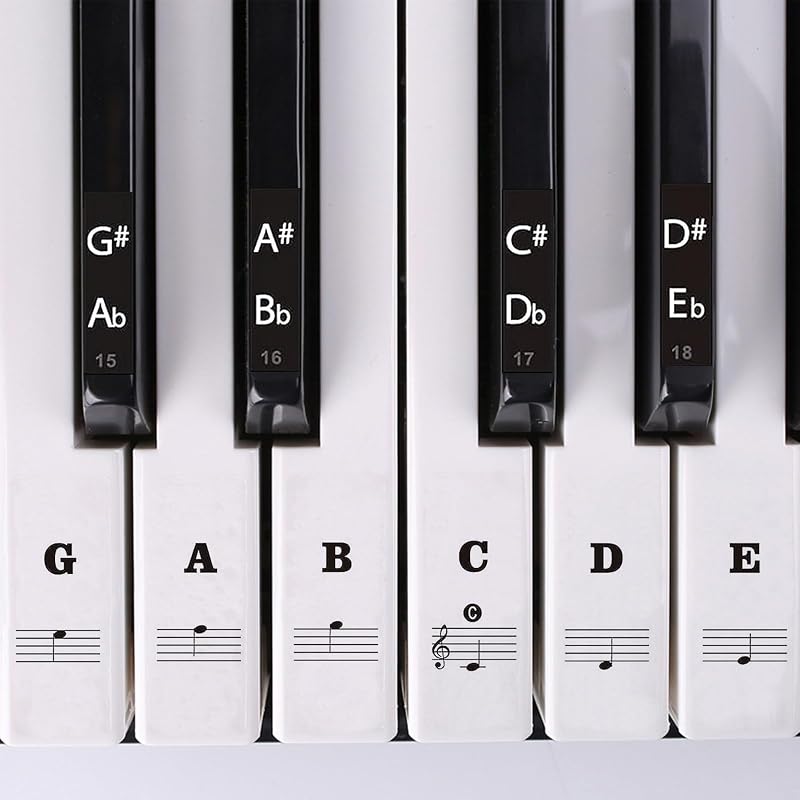 SenZee Piano Keyboard Stickers 88/61/54/49/37 Keys Removable Note Labels