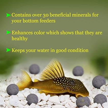 Amazon Com Sungrow Pleco Mineral Balls 0 4 Inch Calcium Rich