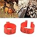 Leg Bands Rings for Poultry Chickens Ducks Goose 6 Colors 100PCS/Bag 16MM 001-100 Numbered Plastic (yellow)