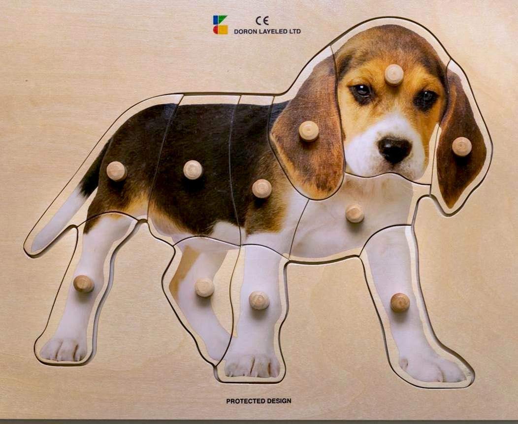 Doron Layeled E72510280, Large Photographic Wooden Peg Puzzle-Puppy, Multi