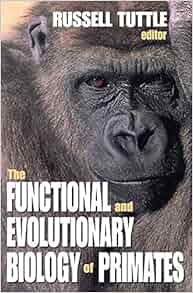 The Functional And Evolutionary Biology Of Primates