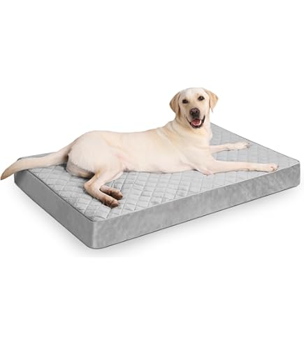 Cama Colchon Amazon Colchon Perro Maypet Cama Colchon Para Perro