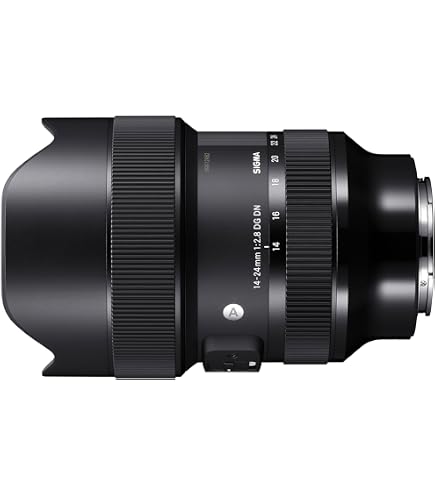 Amazon.com : Sigma 16-28mm F2.8 DG DN C022 Lens for L-Mount