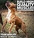 Mass Pack Pro: Includes Muscle Builder & Performance, Ultimate Whey Protein, Formula Mass Weight Gainer for Dogs