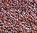 Heivy Organic Flax Oil (24 FL OZ), Flaxseed Oil Liquid, Cold Pressed Flaxseed Oil, Source of Vegetarian Omega-3 6 9, Flax Seed Oil Promotes Cardiovascular, Skin Health & Weight Loss, Hexane Free,USDA.