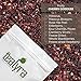 Tealyra - Cherry Goddess - Fruity Herbal Loose Leaf Tea - Caffeine-Free - Vitamin Rich - Hot and Iced - All Natural - 110g (4-ounce)
