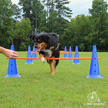Lord AnsonTM Dog Agility Hurdle Cone Set - Canine Agility Training Set - Obedience, Agility, and Rehabilitation - 8 Agility Cones and 4 Agility Rods