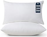 Utopia Bedding Throw Pillows (Pack of 2, White), 12