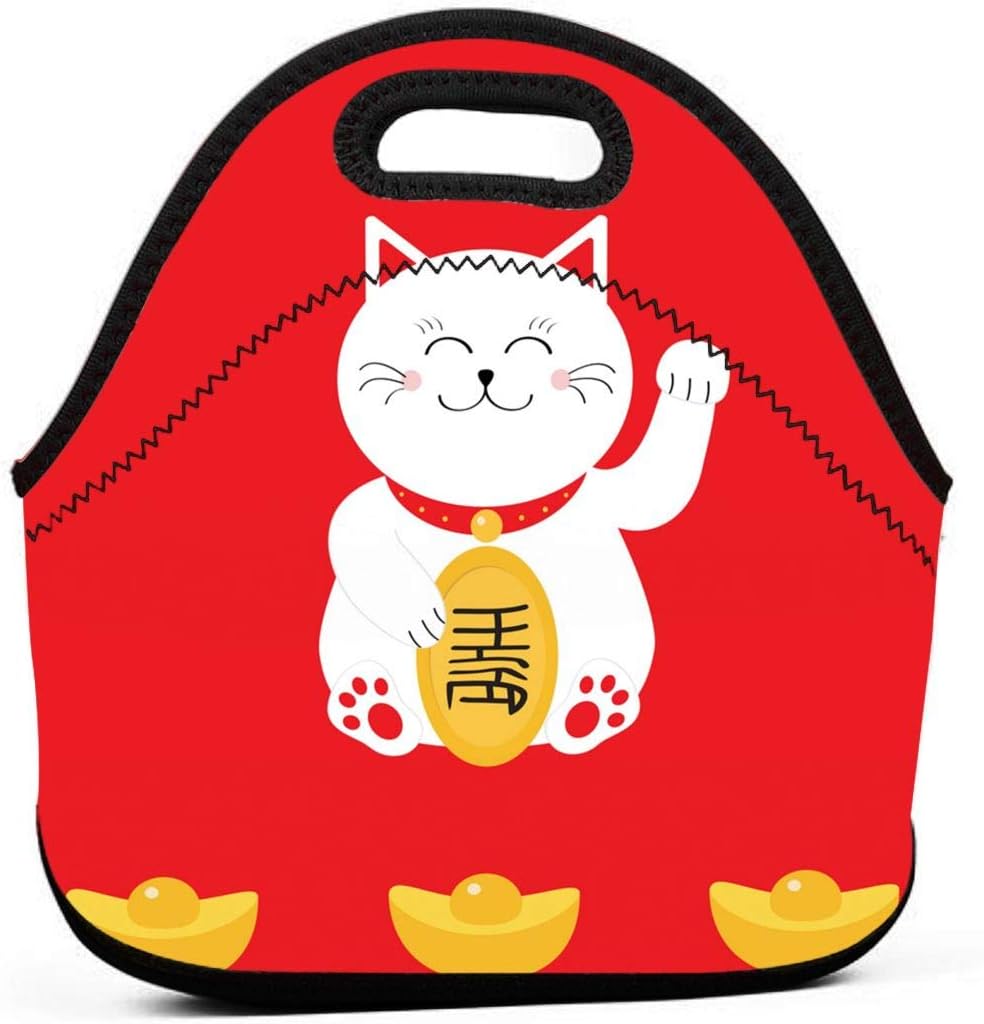 cat holding bag