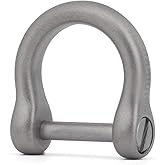 TISUR Titanium D-Rings with Screw Shackle, U Shape Key Chains Rings, Car Keys Tools, DIY Leather Craft Purse/Wallet Buckle 1 pcs (Matte, Tiny)