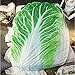 Getime 3D Fruit Vegetables Funny Blanket Bedding Banana Apple Potato Shaped Summer Quilt Cute Comforter Washable Light Quilt