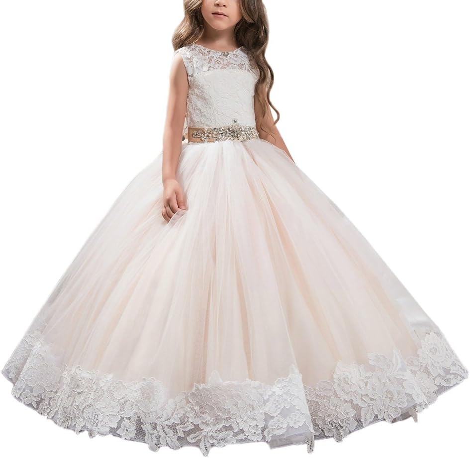 Floral Appliques Fluffy Flower Girl Ball Gown Dress