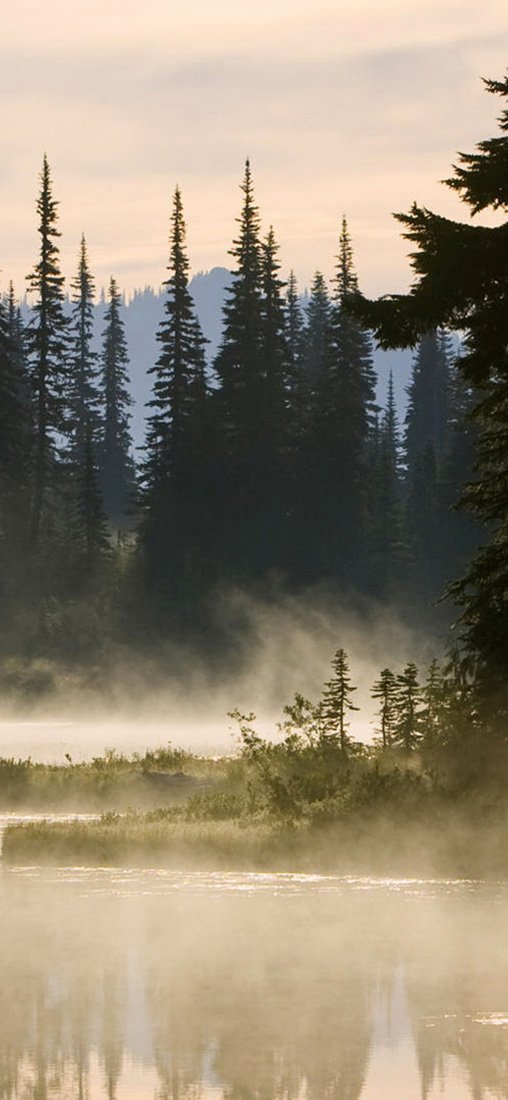 PeelitStickit, Beautiful Nature Wall Murals, ID-1197, vinyl