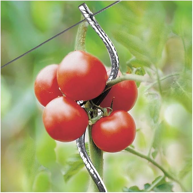 Générique Tutor de Tomate con Gancho, Lote de 15 Unidades, Color ...