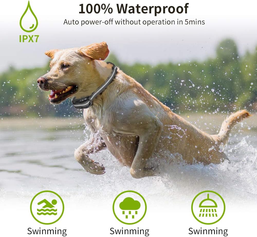 Dimunt Dog Training Collar - Rechargeable Dog Shock Collar with Remote IPX7 Waterproof Shock Collar w/3 Training Modes, Beep, Vibration and Shock, 1000ft Remote Range Dog Collar : Dimunt : Pet Supplies