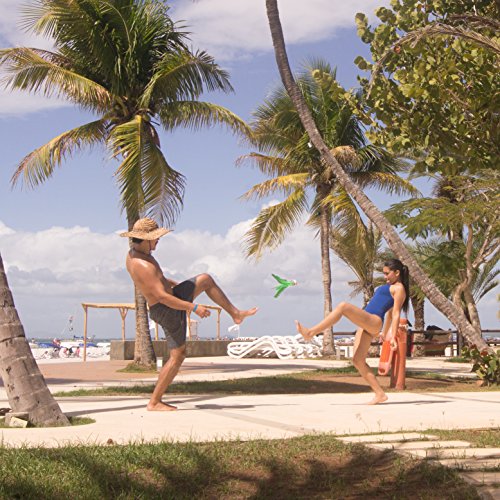 3 Hackibird+hacky+Great+children+adults