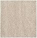 SAFAVIEH California Premium Shag Collection 4' Square Beige SG151 Non-Shedding Living Room Bedroom Dining Room Entryway Plush 2-inch Thick Area Rug
