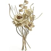 Zorbdra Reed Diffuser Flower Sticks,Reed Diffuser Sticks Set of 12 | Flower Diffusers, Home Bathroom and Bedroom Decor, Natural Paper Material
