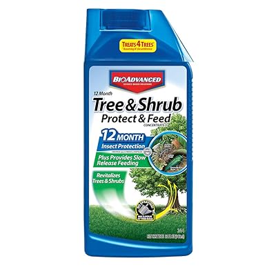 Bayer Advanced 701810 12 Month Tree and Shrub Protect and Feed Concentrate, 32-Ounce