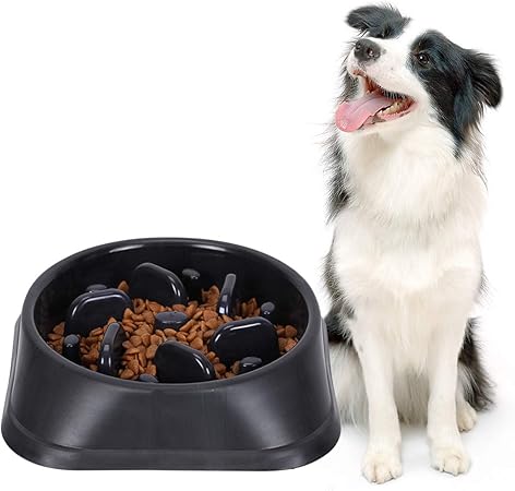 amazon dog slow feeder