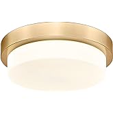 Audickic Gold Flush Mount Ceiling Light, 13inch Close to Ceiling Light Fixtures 24W 2200lm Dimmable 2700K/3000K/4000K/5000K/6