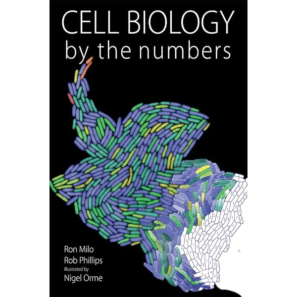 An Introduction to Systems Biology: Design Principles of