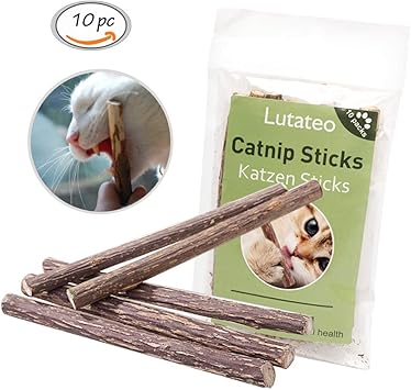cat dental chew sticks