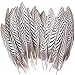 Sowder 10pcs Silver Pheasant Plumage Feathers 7-10 Inches Home Wedding Decoration