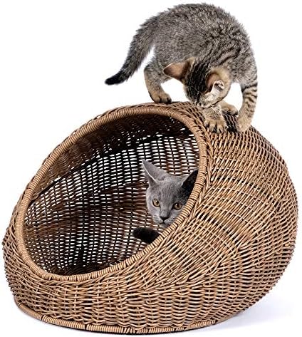 whisker city wicker cat dome