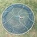 Foldable Fishing Net Hand Net - Crab Net Fish Net with Fishing Rope for Fishes, Shrimps, Crabs (Green, Top Dia:39.37