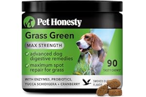 PET HONESTY Grass Green Max Strength Burn Spot Chews for Dogs - Premium Formula - Dog Pee Lawn Spot Saver Supplement Caused by Dog Urine, Supports Healthy Digestion w/Probiotics + DL-Methionine - 90ct