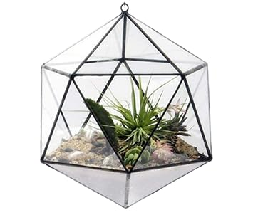 Amazon Com Dingsheng Wall Hanging Geometric Terrarium Balcony