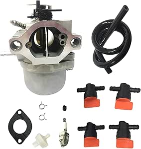 Amazon.com: Beasteel 593432 Carburetor Fits Briggs and Stratton 791266