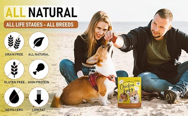 PET JERKY FACTORY PREMIUM WHOLE MUSCLE CHICKEN 5 OZ. DOG JERKY TREATS | 100% HUMAN GRADE | USA MADE | HIGH PROTEIN | GRAIN FREE | LIMITED INGREDIENTS | NO FILLER | BHA-BHT FREE | CHEWY TEXTURE