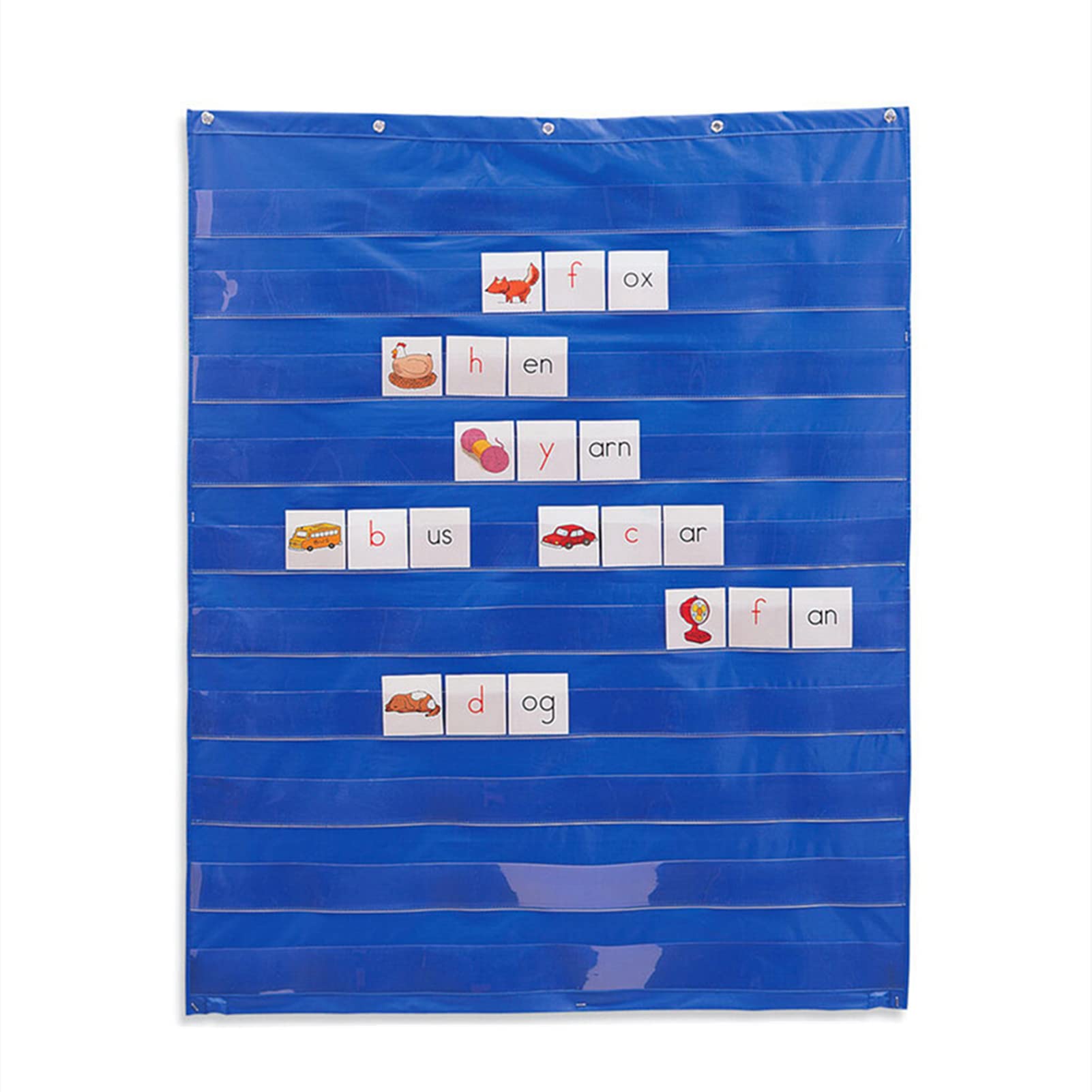 MOVKZACV Pocket Chart, Wall Hanging Transparent Display Insert Card Pocket Chart for Classroom Office Home (Blue)