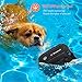 Nemobub Dog Training Collar 100% Waterproof Remote with Beep Vibration Shock Rechargeable Dogs, 300 yd.