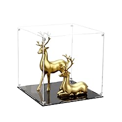 Kcgani 12 Inch Clear Acrylic Case for Display, Cube