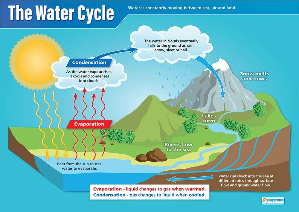 Daydream Education The Water Cycle | Science Posters | Gloss Paper measuring 850mm x 594mm (A1) | Science Charts for the Classroom | Education Charts