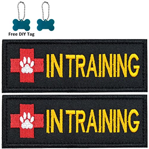 How to buy the best velcro patch for dog harness? Sideror Reviews