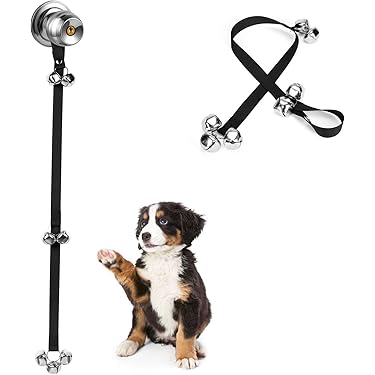 Bell to Train Dog: Master Simple Commands Fast