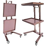 2 Tier Metal Rolling Cart, Stainless Steel Salon