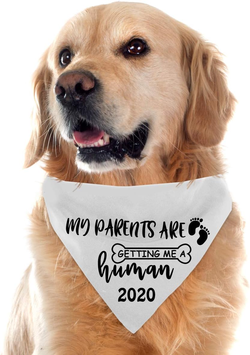 Yangmics Direct My Parents are Getting me a Humans Dog Bandanas