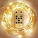 FOXNOV 2-in-1 Remote Receiver 33ft 100 LED String Lights Christmas Lights Dimmable with 4 Lighting Modes, Waterproof Fairy Lights for Bedroom, Garden, Wedding, Parties, Indoor Outdoor (Warm White)