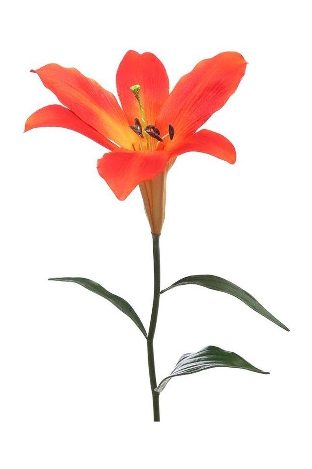 Buy Ivy Artificial Flower Easter Lily Red Online At Low Prices In India Amazon In