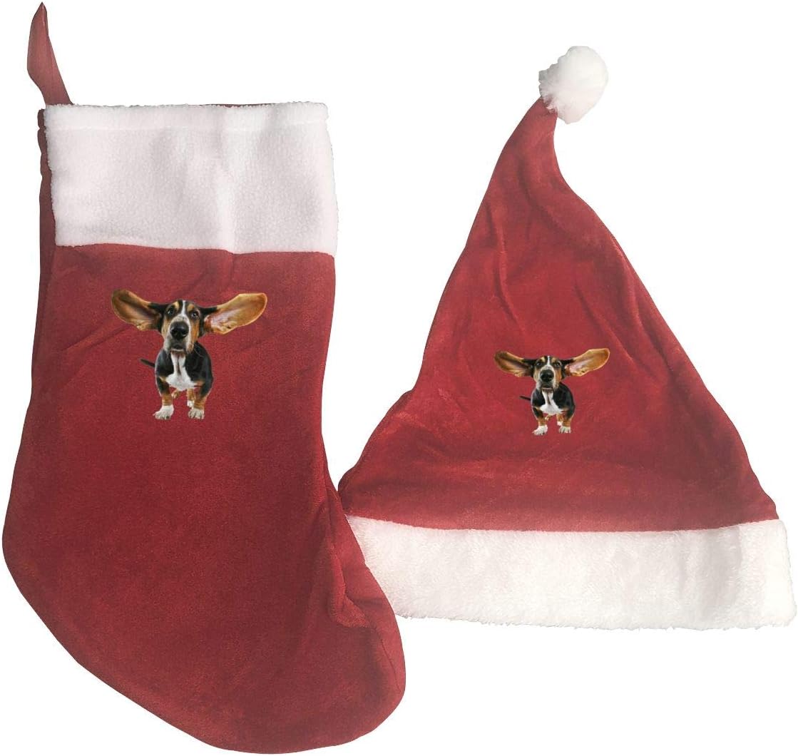 hats for dogs with big ears