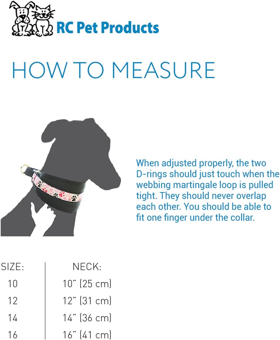 dog collars with 2 d rings